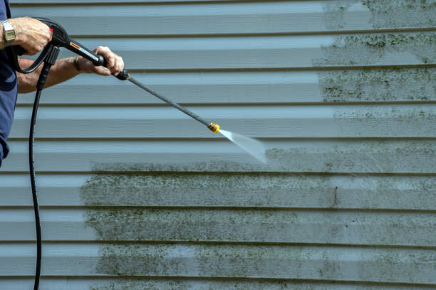 Best Patio and Deck Pressure Washing  in Massapequa Park, NY